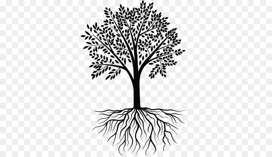 Tree Clip art - roots clipart png download - 520*520 - Free Transparent Tree png Download.