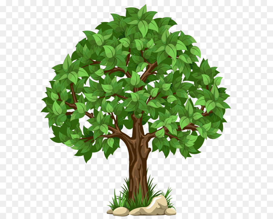 A transparent tree White Transparent - Transparent Tree PNG Clipart Picture png download - 4800*5274 - Free Transparent Tree png Download.