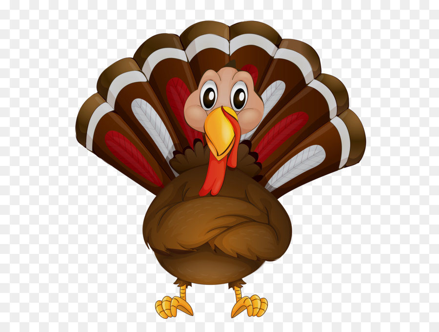 Bird Parrot Clip art - Transparent Thanksgiving Turkey Clipart png download - 5001*5145 - Free Transparent Bird png Download.