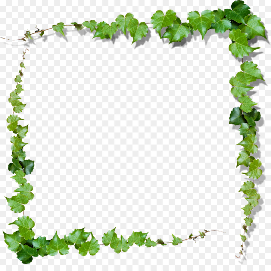 Green Vine Clip art - leaves frame png download - 1047*1024 - Free Transparent Green png Download.