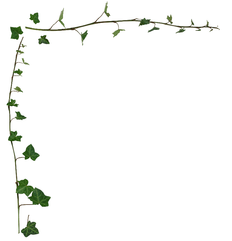 Common ivy Vine Desktop Wallpaper Stock photography Clip art - leaf
