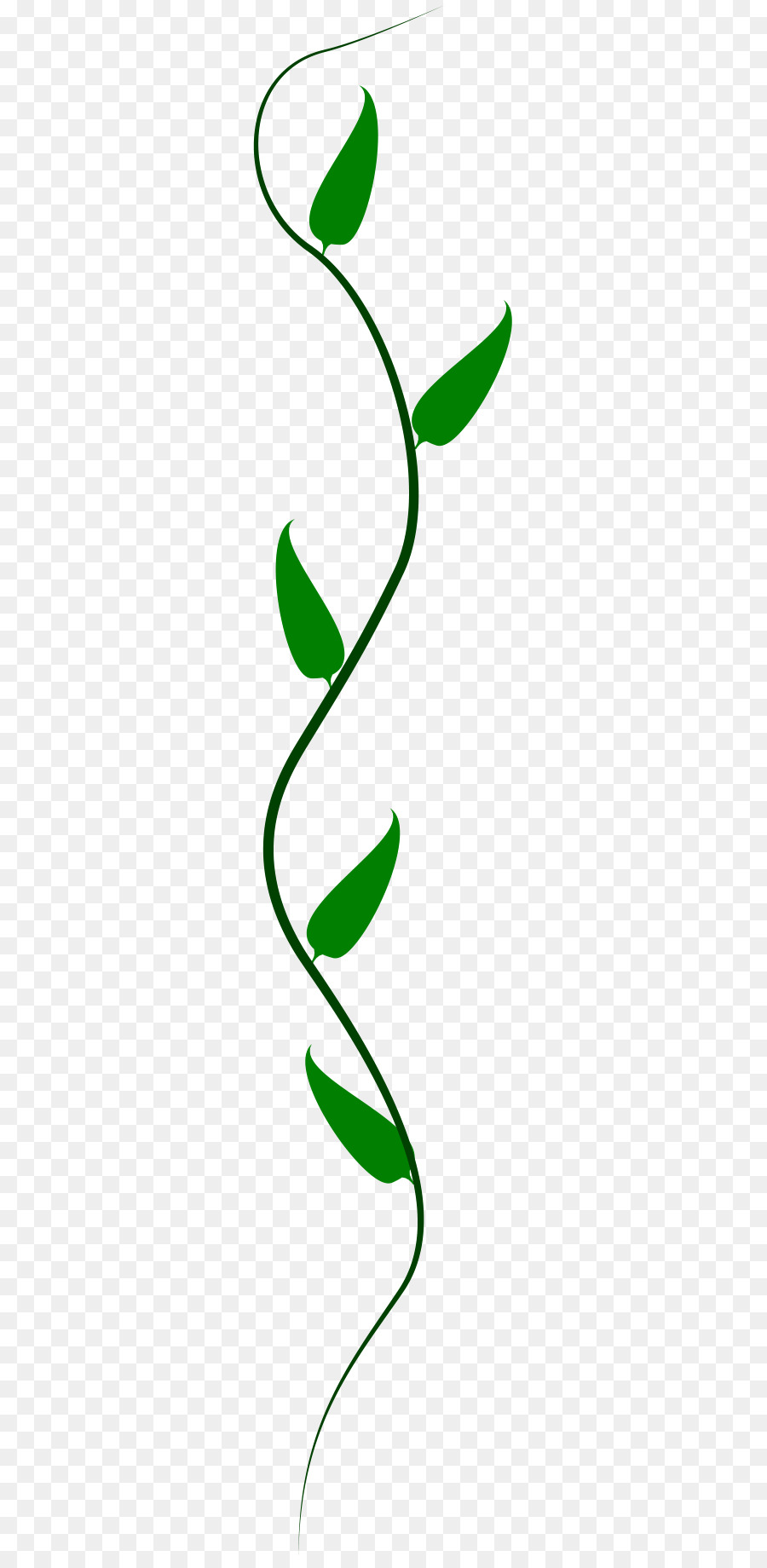 Cool Transparent Vine Drawing Png | Creative Things Thursday