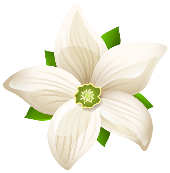 Flower White Clip art - white flower png download - 589*600 - Free