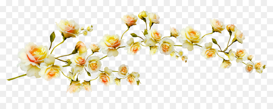 Flower Clip art - Yellow flowers branch png download - 3500*1333 - Free Transparent Flower png Download.