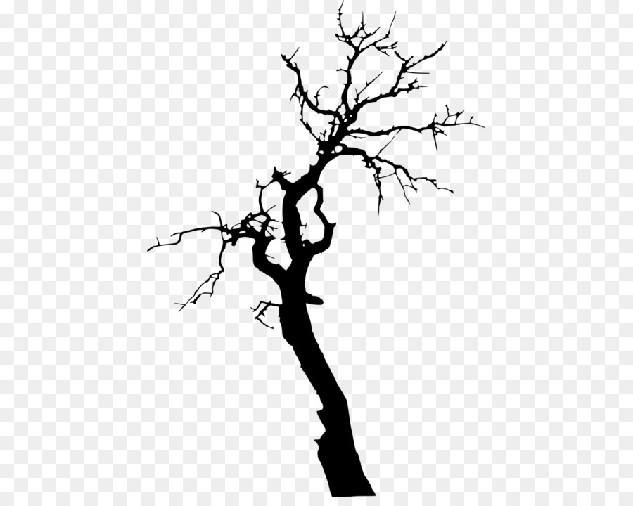 Twig Silhouette Tree Branch Drawing - Silhouette png download - 481*707 - Free Transparent Twig png Download.