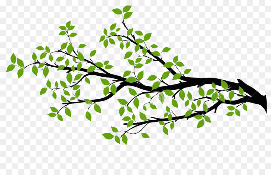 Branch Tree Drawing Royalty-free - branch png download - 1300*811 - Free Transparent Branch png Download.