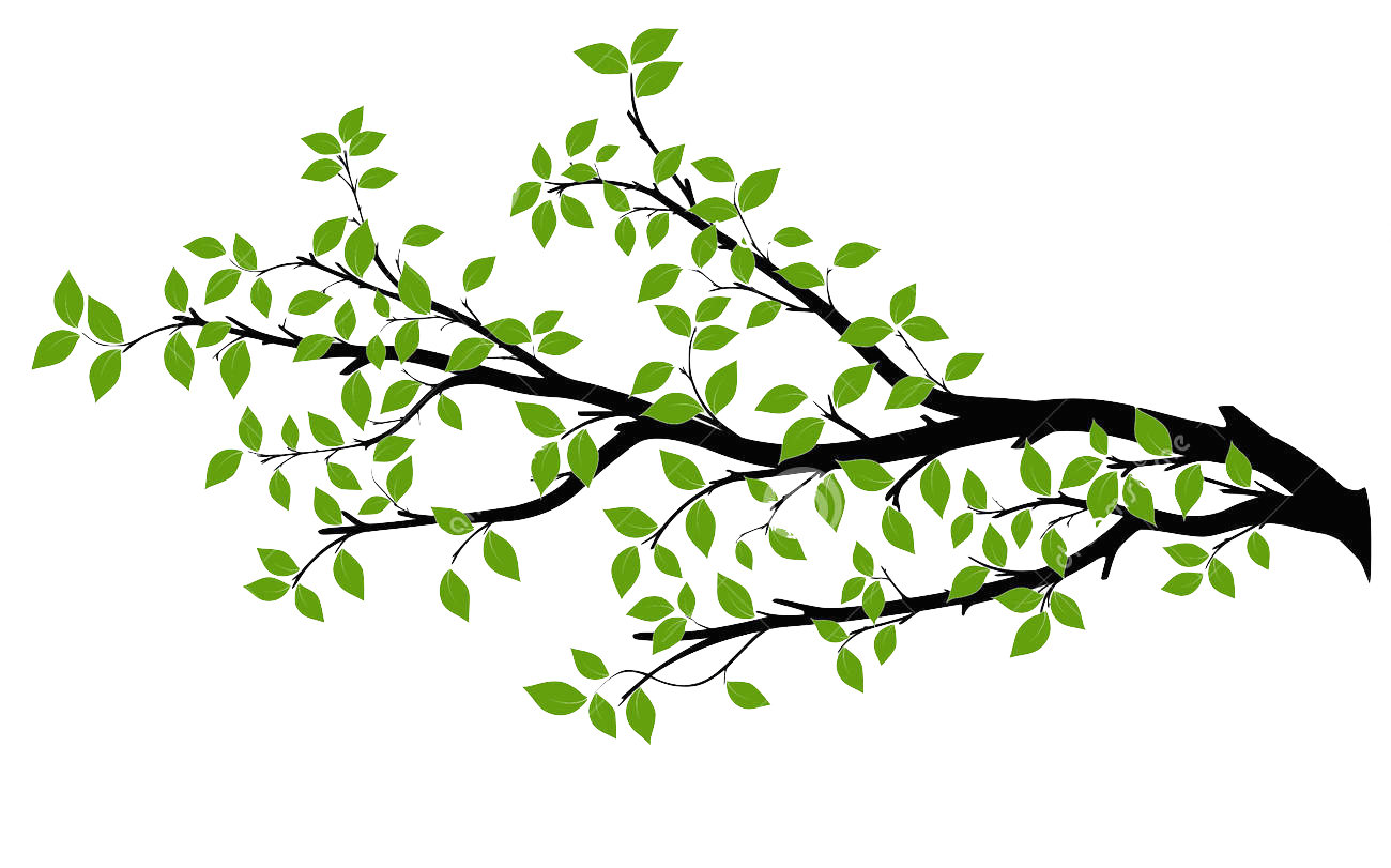 Branch Tree Drawing Royalty-free - branch png download ...