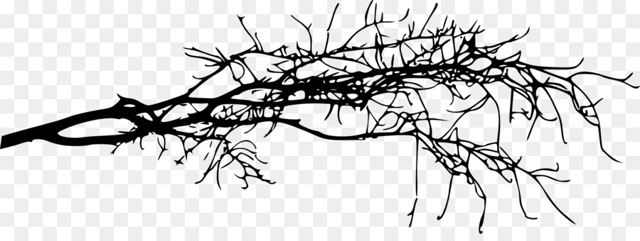 Twig Black and white - Silhouette png download - 2000*733 - Free Transparent  png Download.