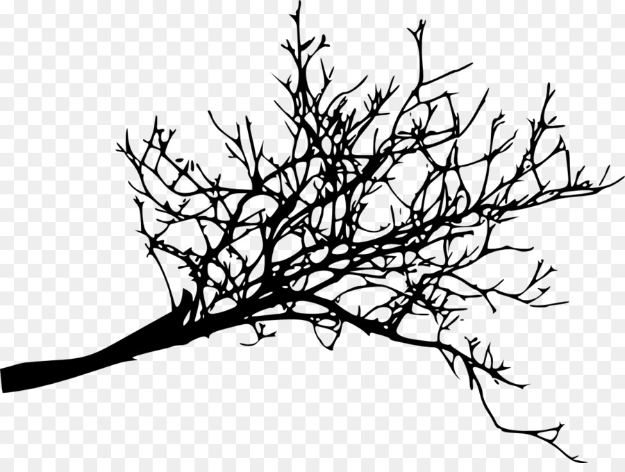 Branch Tree Twig Woody plant - branches png download - 1193*884 - Free Transparent Branch png Download.