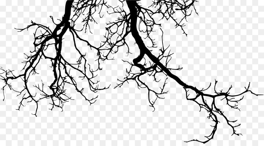 Branch Tree Twig - tree branch png download - 1521*832 - Free Transparent Branch png Download.