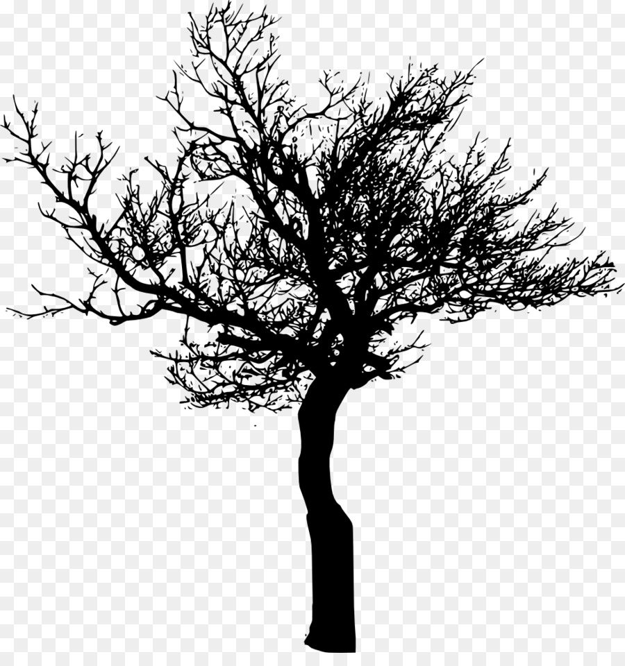 Tree Branch Desktop Wallpaper Clip art - tree vector png download - 979*1024 - Free Transparent Tree png Download.