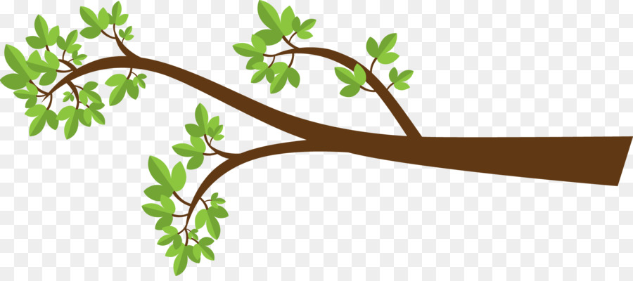 Branch Tree Drawing Clip art - Owl Water Cliparts png download - 2160*943 - Free Transparent  png Download.