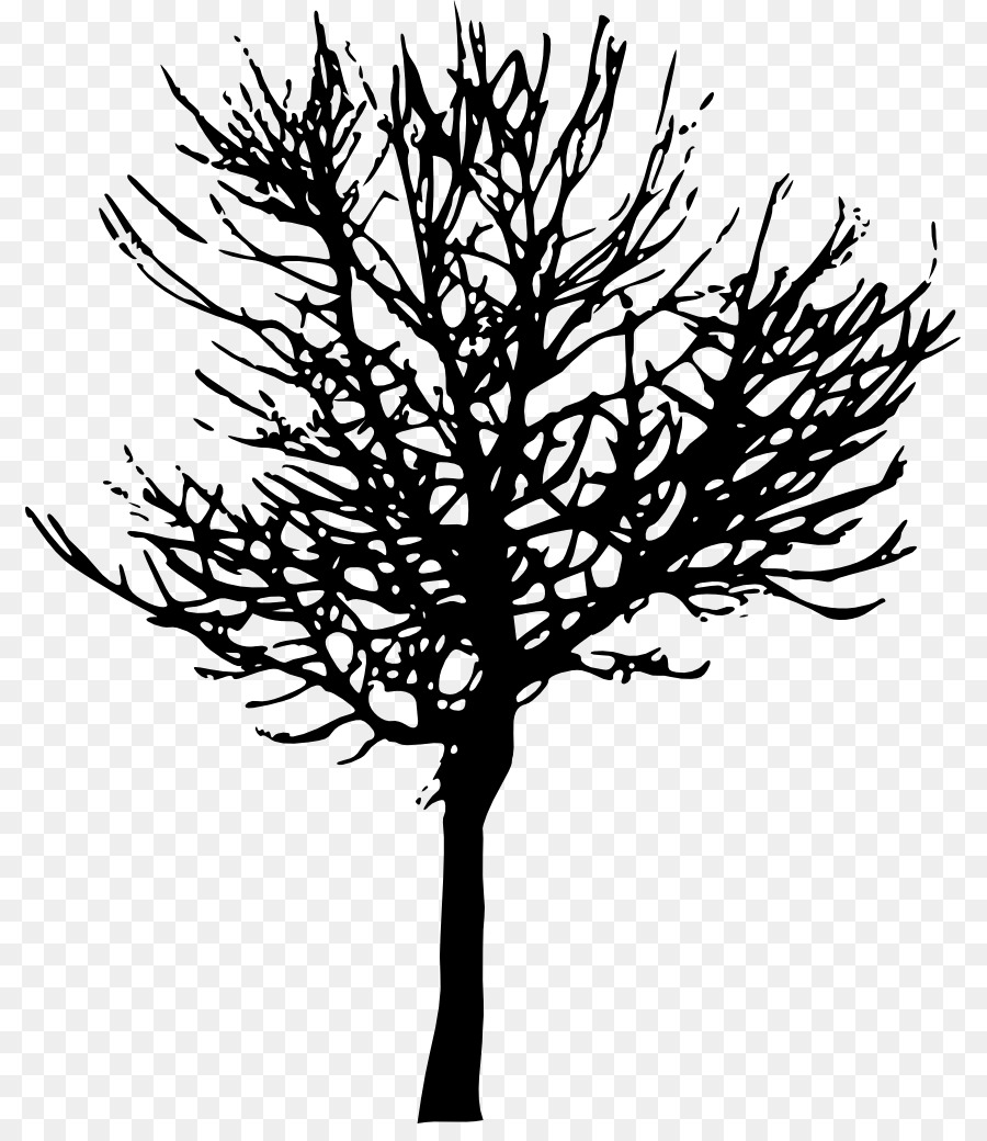 Tree Branch Desktop Wallpaper Clip art - tree vector png download - 853*1024 - Free Transparent Tree png Download.