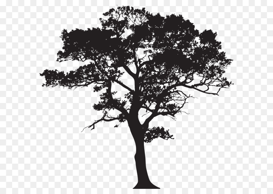 Tree Silhouette Clip art - Silhouette Tree PNG Clip Art Image png download - 8000*7662 - Free Transparent Tree png Download.