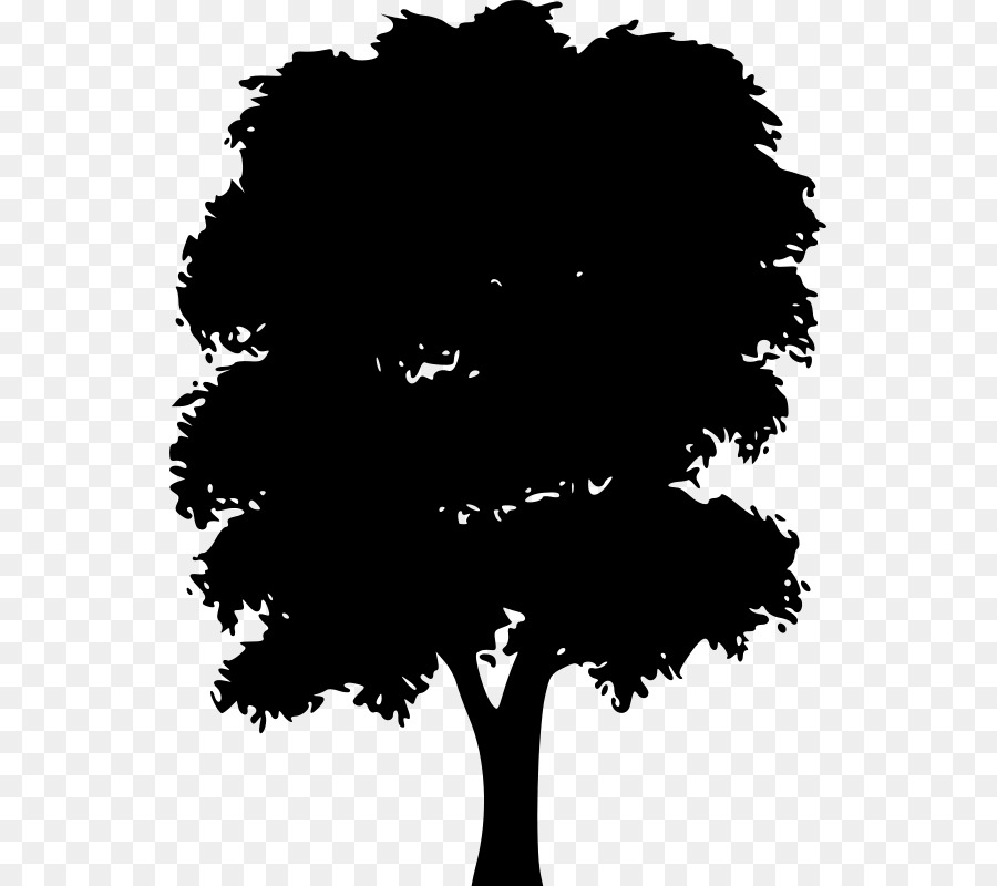 Silhouette Tree Clip art - Silhouette png download - 593*800 - Free Transparent Silhouette png Download.