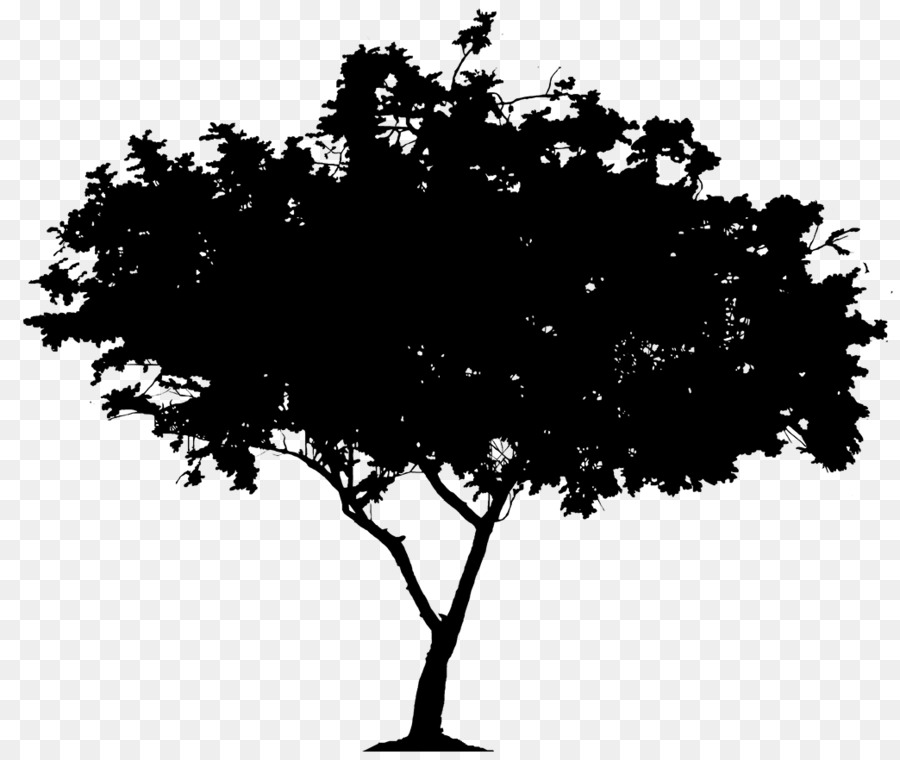 Portable Network Graphics Clip art Silhouette Tree Image -  png download - 1044*876 - Free Transparent Silhouette png Download.