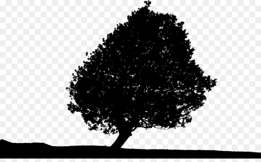 Tree Silhouette Landscape Clip art - trees silhouette png download - 2400*1462 - Free Transparent Tree png Download.