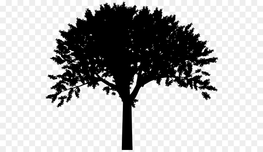 Silhouette Tree Clip art - Silhouette png download - 600*513 - Free Transparent Silhouette png Download.