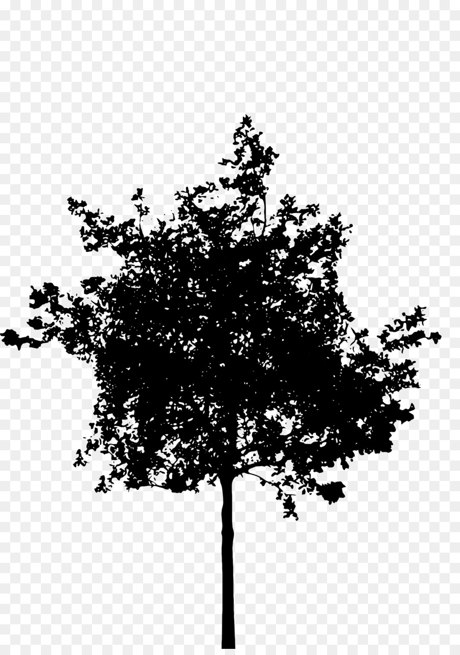 Silhouette Tree Clip art - Silhouette png download - 1703*2400 - Free Transparent Silhouette png Download.