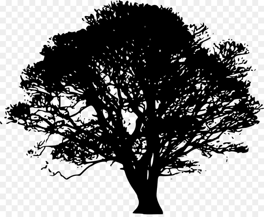 Tree Silhouette Oak Clip art - beautiful printing png download - 1280*1040 - Free Transparent Tree png Download.