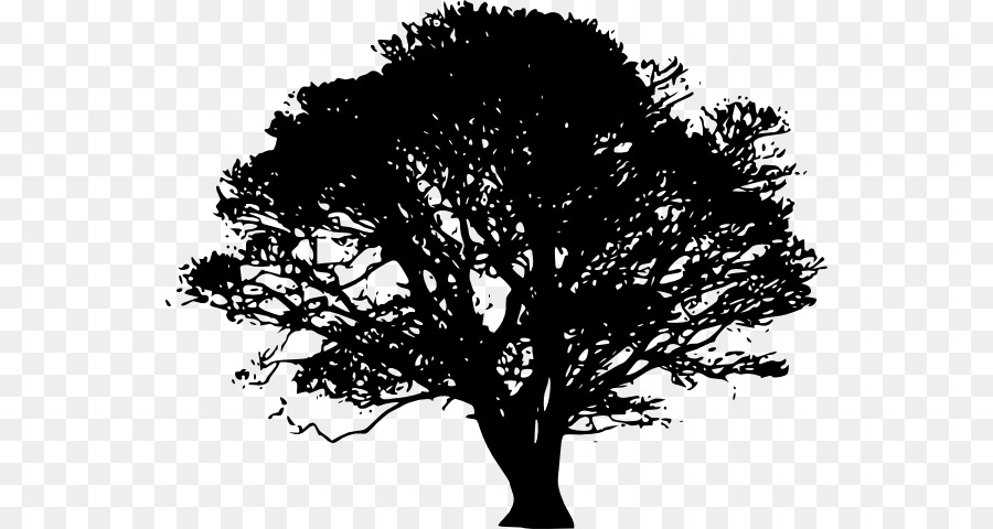 Tree Silhouette Oak Clip art - Black Trees Cliparts png download - 600*480 - Free Transparent Tree png Download.