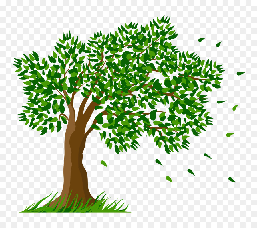 Tree Pine Arecaceae Clip art - walnut png download - 2234*1965 - Free Transparent Tree png Download.
