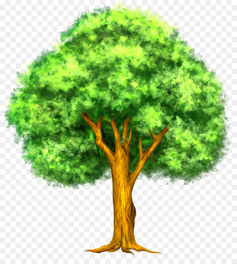 Tree Thumbnail Clip art - Tree Cliparts png download - 884*981 - Free Transparent Tree png Download.