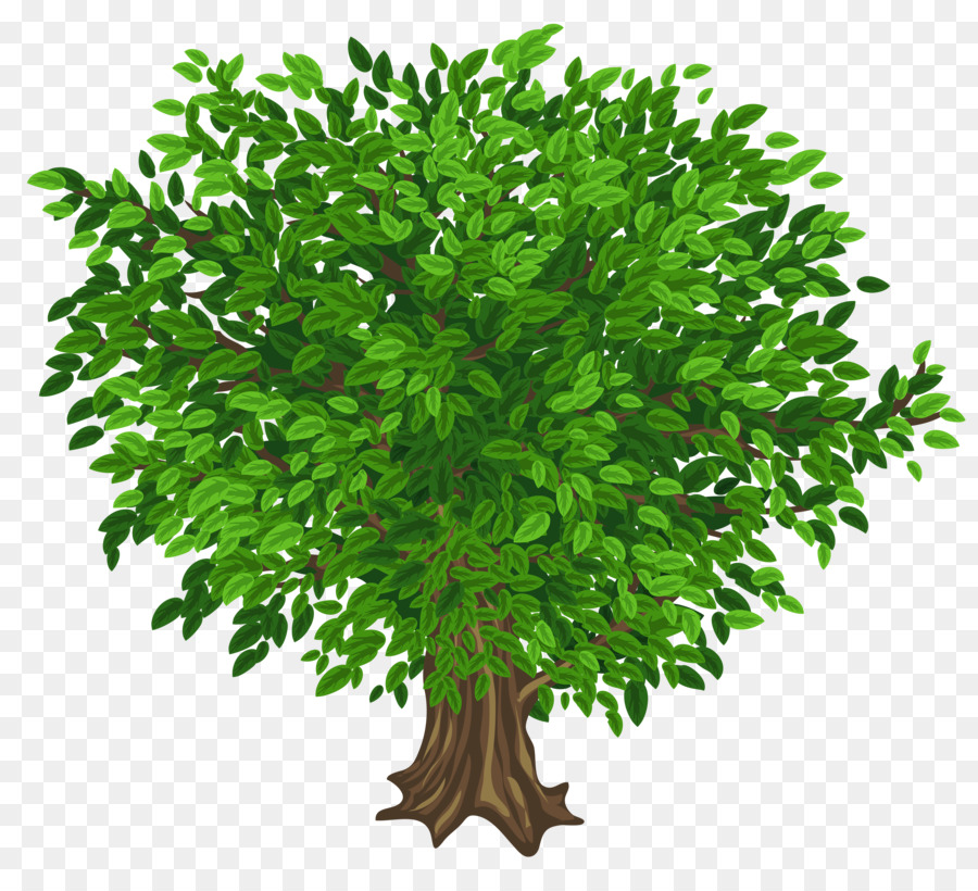 Tree Clip art - Green Tree Cliparts png download - 5210*4633 - Free Transparent Tree png Download.
