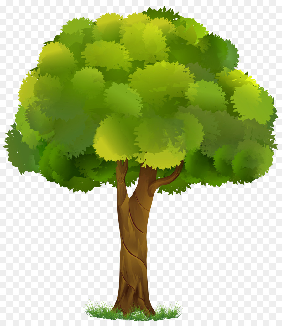 Tree Clip art - Transparent Tree Cliparts png download - 5242*6000 - Free Transparent Tree png Download.