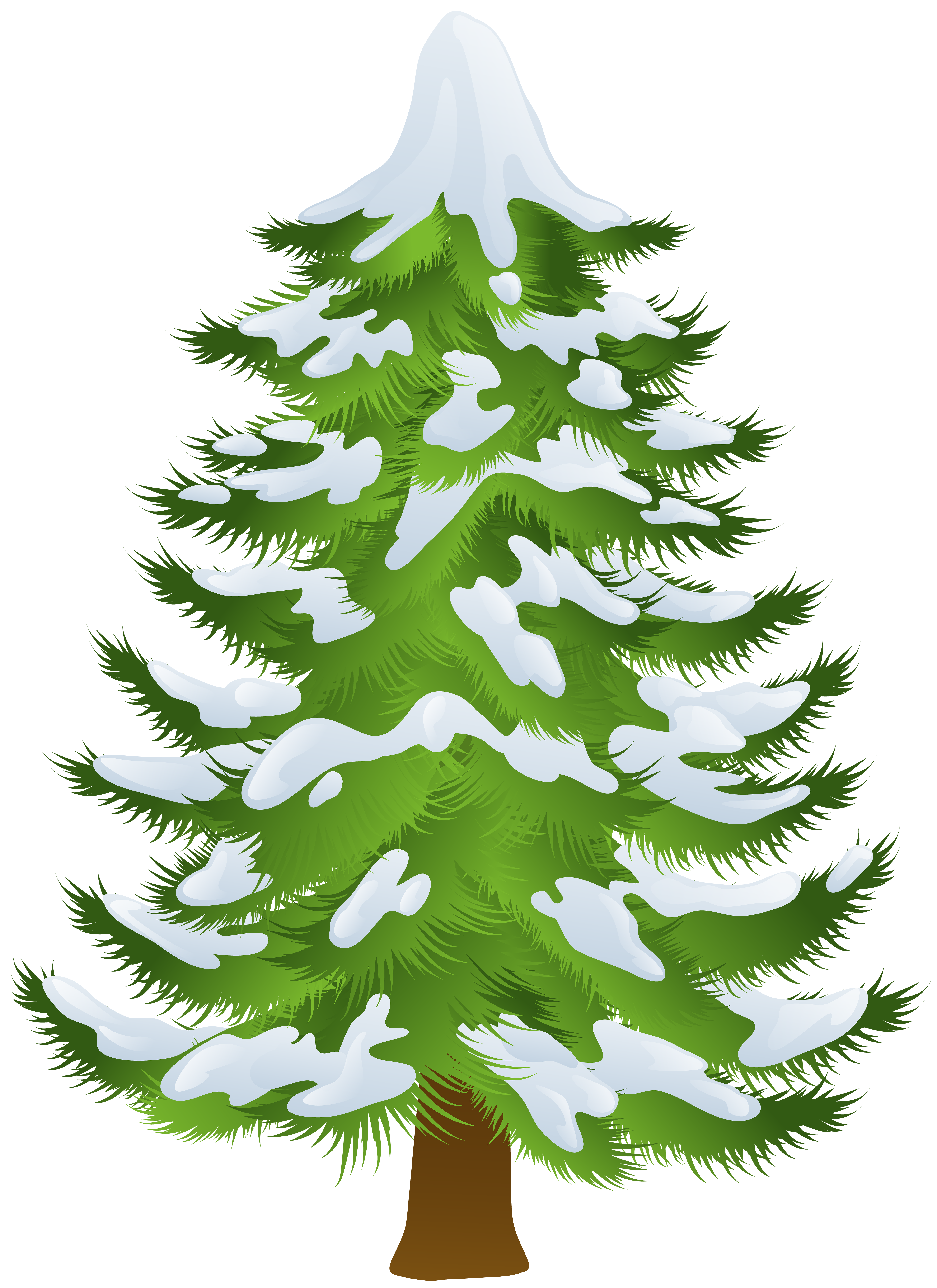 Pine Tree Winter Clip art - Winter Pine Tree Transparent PNG Clip Art