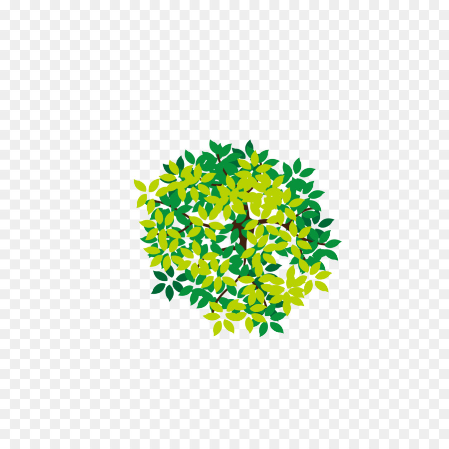 Tree Icon - Lush tree top png download - 6250*6250 - Free Transparent Tree png Download.