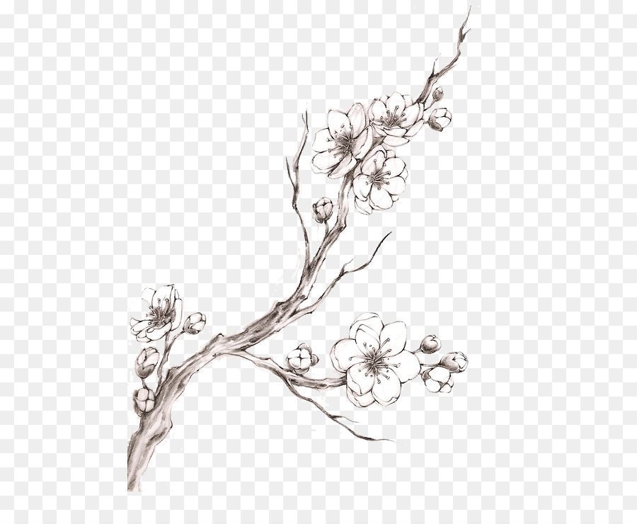 Cherry blossom Tattoo Drawing - cherry blossom watercolor png download - 540*733 - Free Transparent Cherry Blossom png Download.