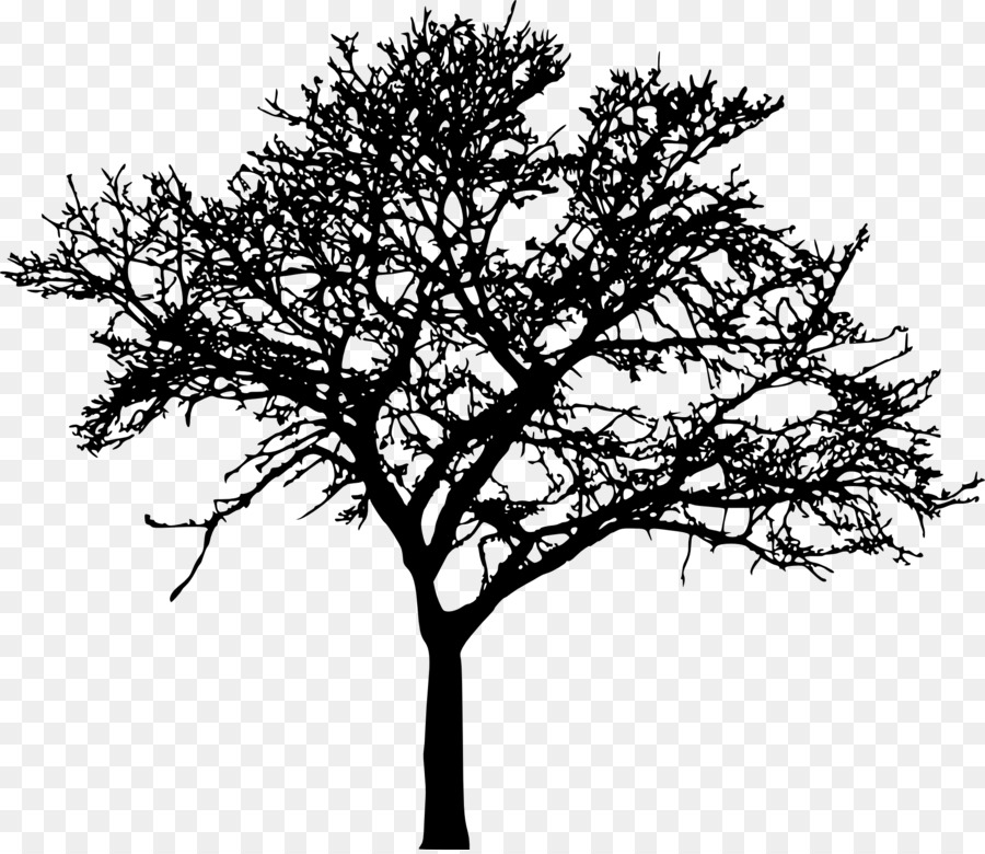 Tree Silhouette Drawing Branch Clip art - tree vector png download - 2000*1725 - Free Transparent Tree png Download.
