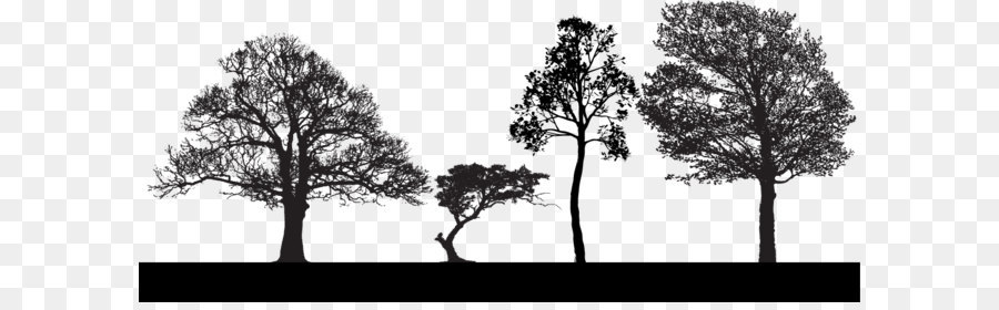 Tree Euclidean vector Clip art - Trees Silhouette png download - 1191*500 - Free Transparent Tree png Download.
