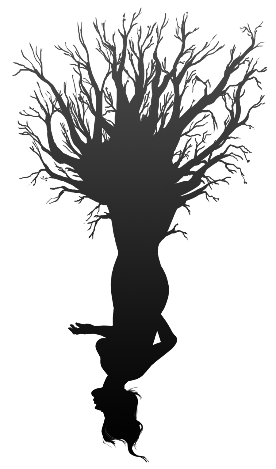 Visual arts Tree of life Digital art tree of life png download 900*