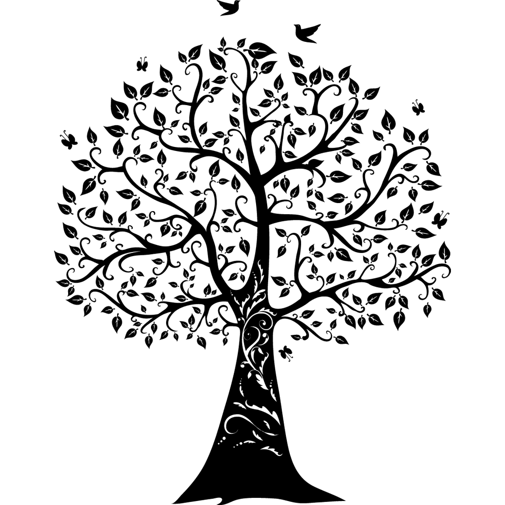 Paper Wall Decal Tree Of Life Family Tree Png Download 1000 1000 Free Transparent Paper Png Download Clip Art Library