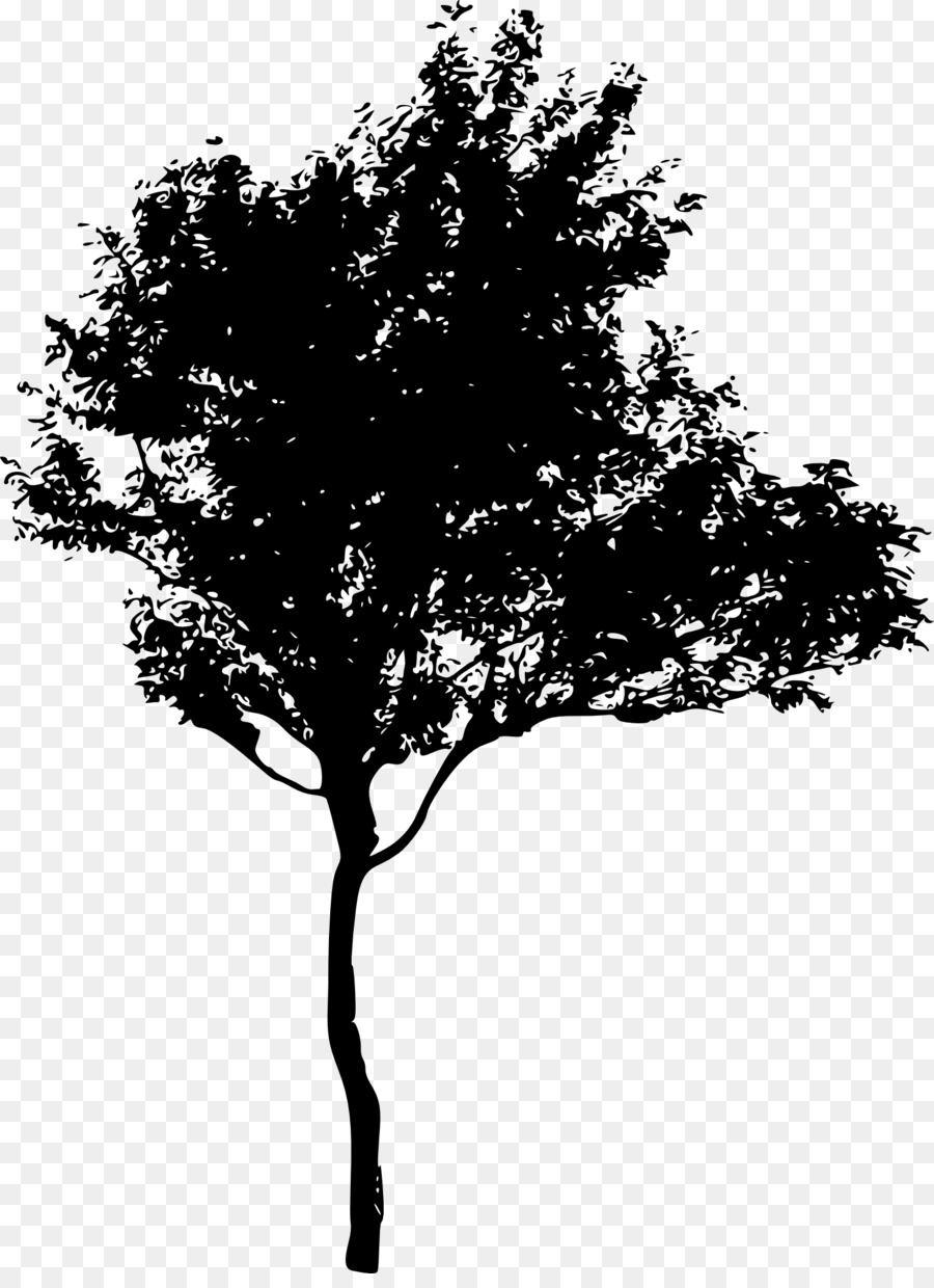 Tree Silhouette Drawing - tree png download - 1468*2000 - Free Transparent Tree png Download.
