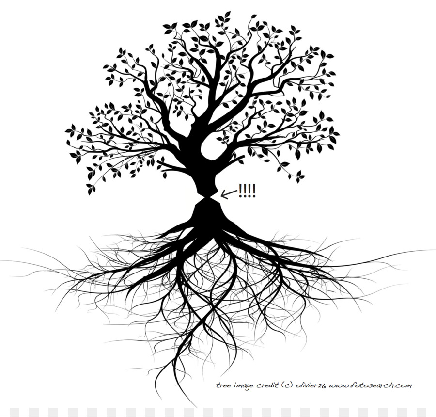 Tree Root Trunk - watercolor tree png download - 1591*1486 - Free Transparent Tree png Download.