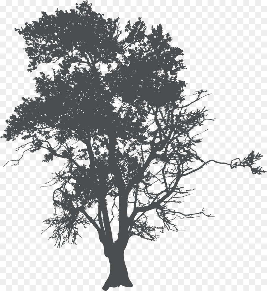 Tree Silhouette Poster - root png download - 1756*1911 - Free Transparent Tree png Download.