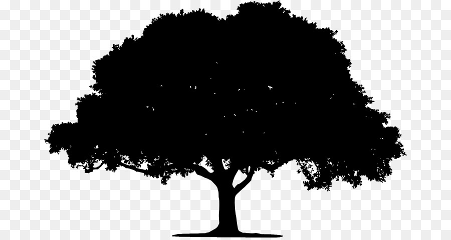Tree Silhouette Clip art - black and white tree png download - 724*476 - Free Transparent Tree png Download.
