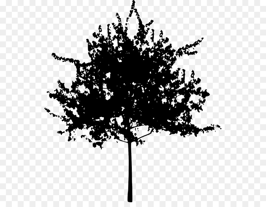 Tree Silhouette Clip art - tree png download - 600*684 - Free Transparent Tree png Download.