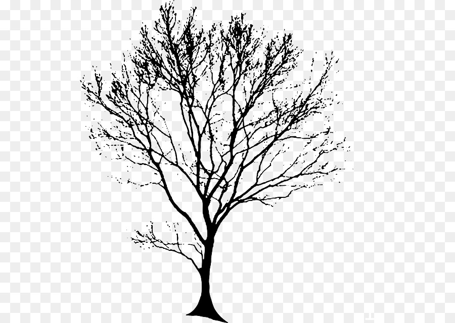 Drawing Tree Clip art - european flower vine png download - 583*640 - Free Transparent Drawing png Download.