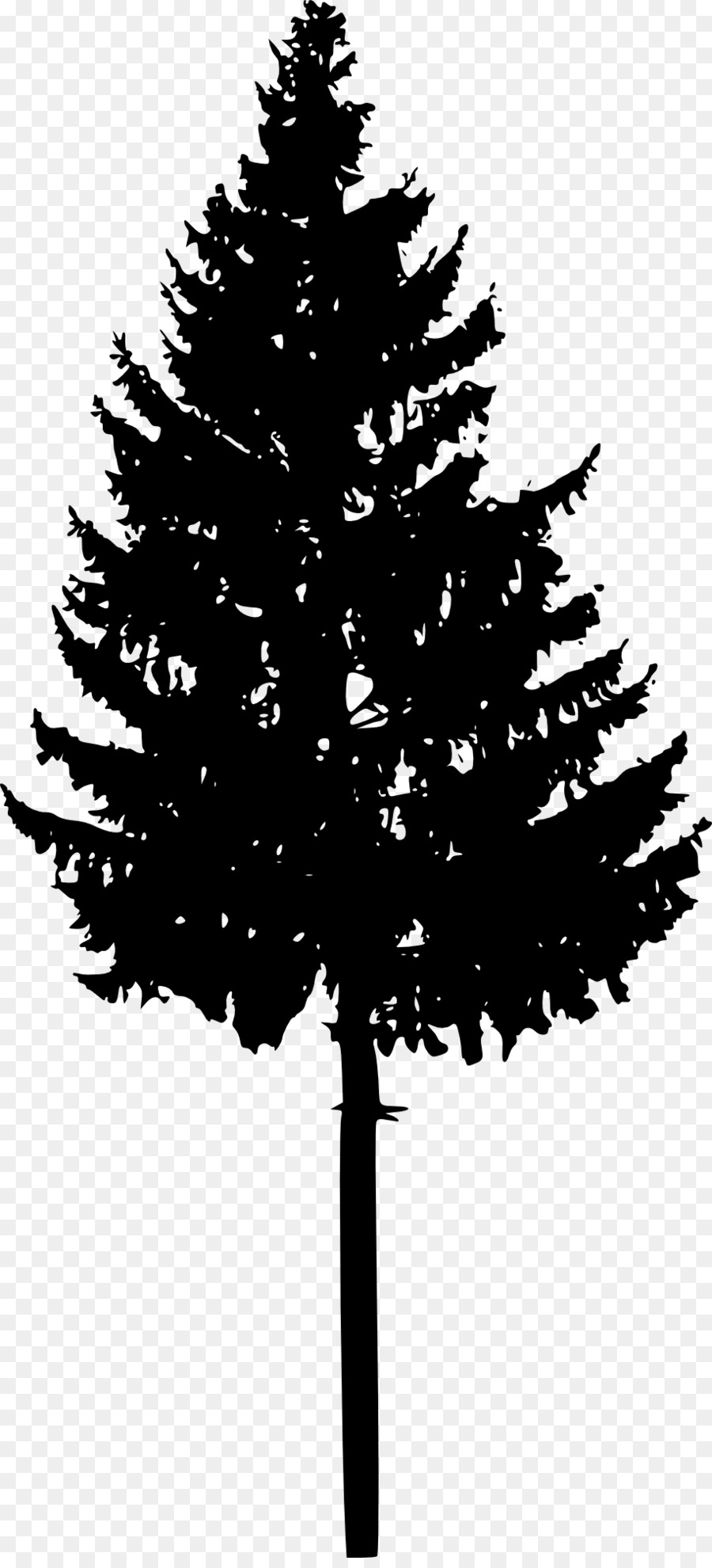 Tree Spruce Fir Conifers Silhouette - silhouettes png download - 915*2000 - Free Transparent Tree png Download.