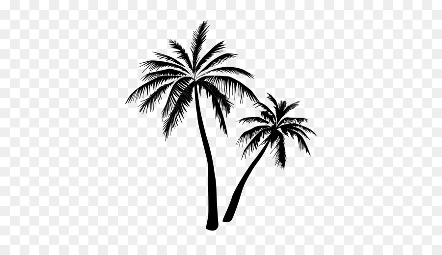 Arecaceae Tree Clip art - tropical forest png download - 512*512 - Free Transparent Arecaceae png Download.