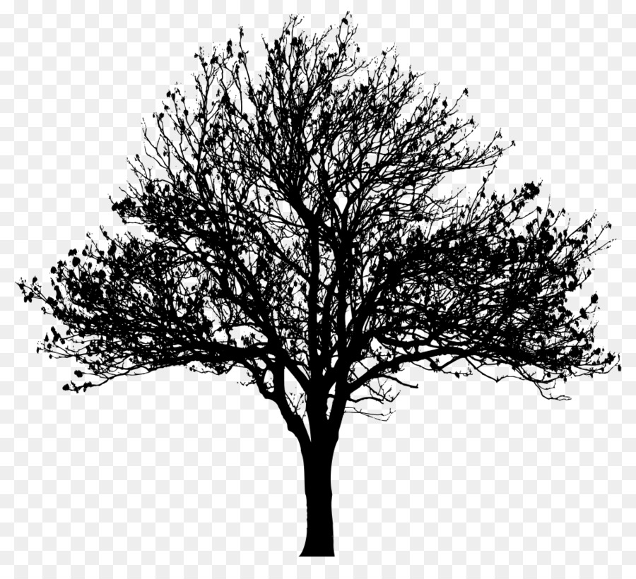 Tree Silhouette Clip art - tree png download - 1000*900 - Free Transparent Tree png Download.