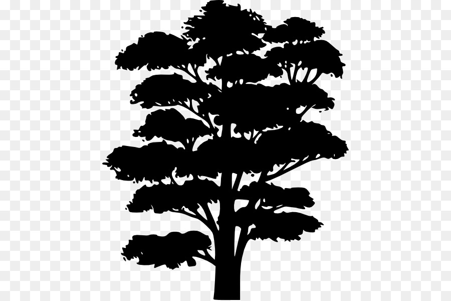 Tree Silhouette Drawing Clip art - Silhouette Trees png download - 492*598 - Free Transparent Tree png Download.
