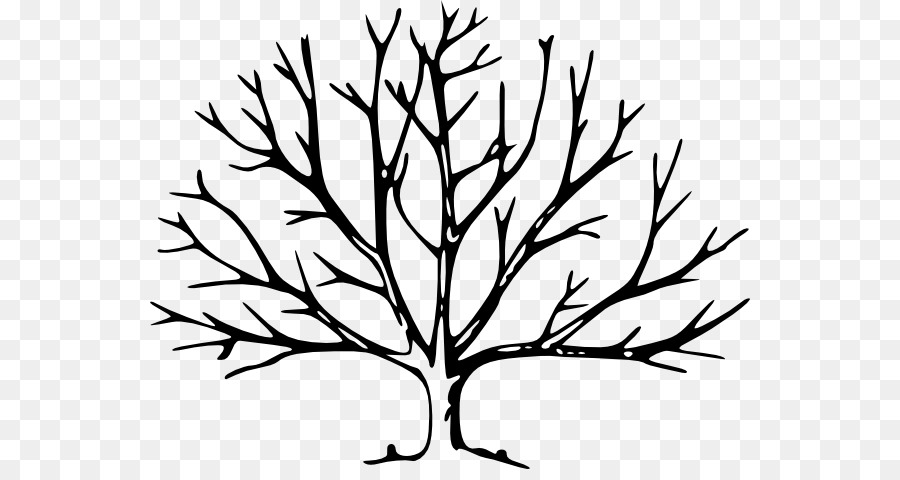Tree Drawing Silhouette Clip art - Tree Trunk Images png download - 600*469 - Free Transparent Tree png Download.