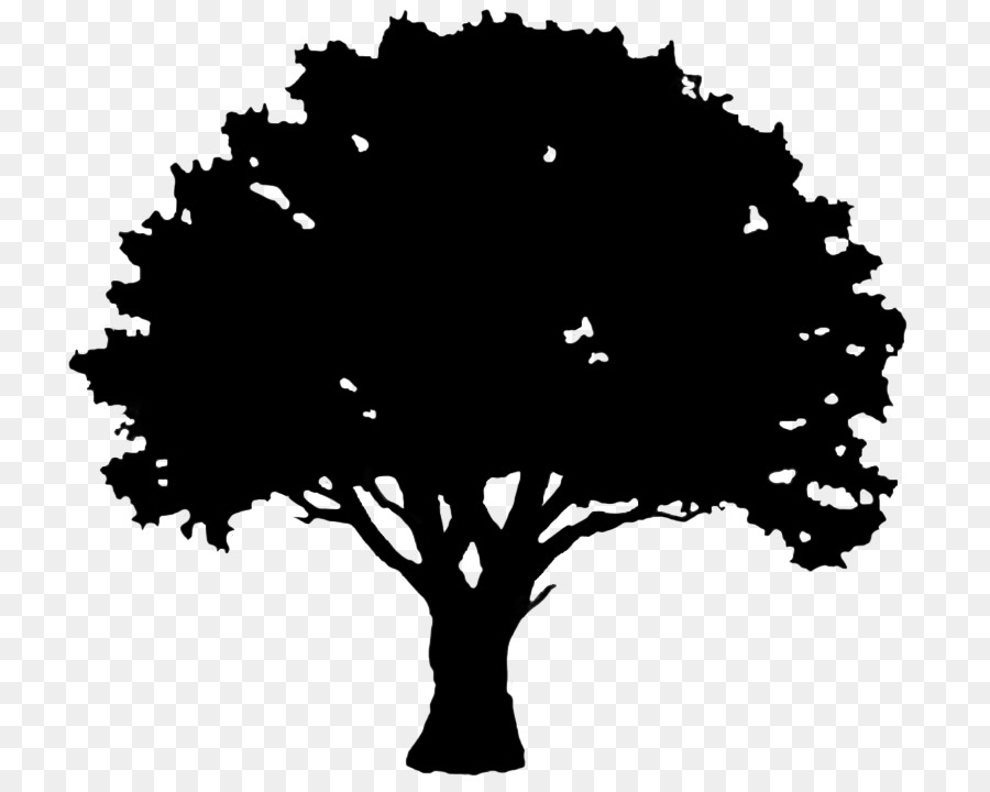 English oak Tree Silhouette Clip art - hole png download - 827*709 - Free Transparent English Oak png Download.