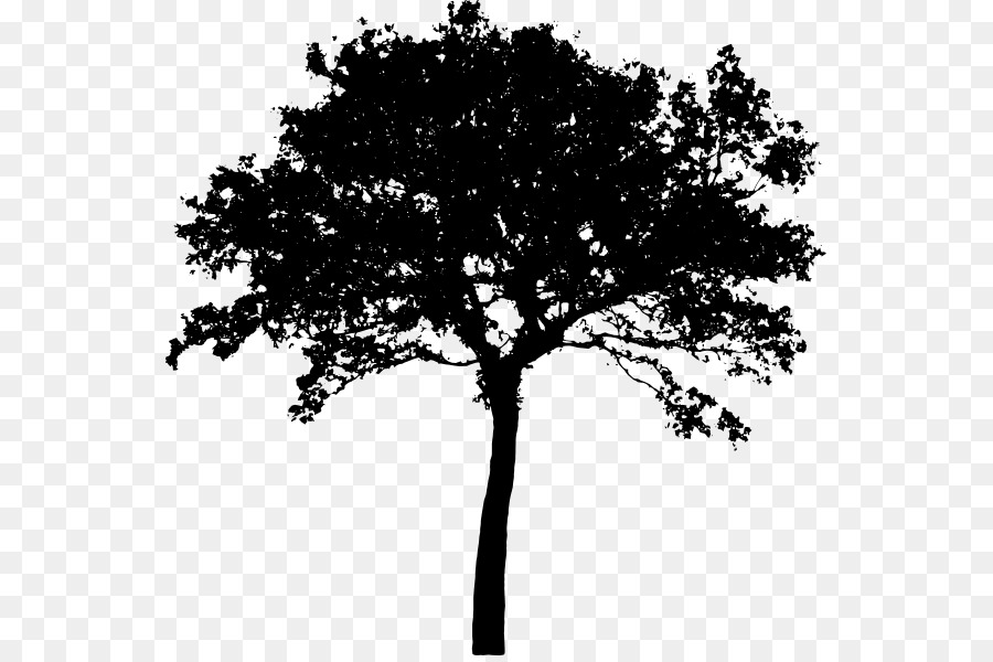 Tree Silhouette Clip art - Trees Silhouette png download - 600*594 - Free Transparent Tree png Download.