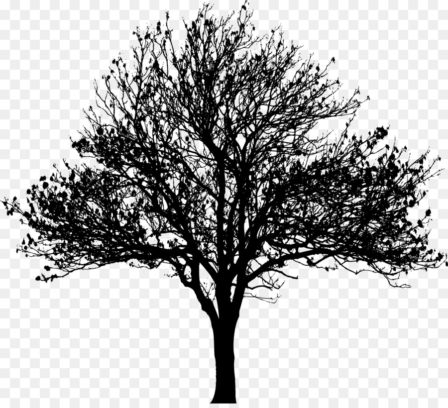 Tree Silhouette Drawing Clip art - love tree png download - 2289*2062 - Free Transparent Tree png Download.